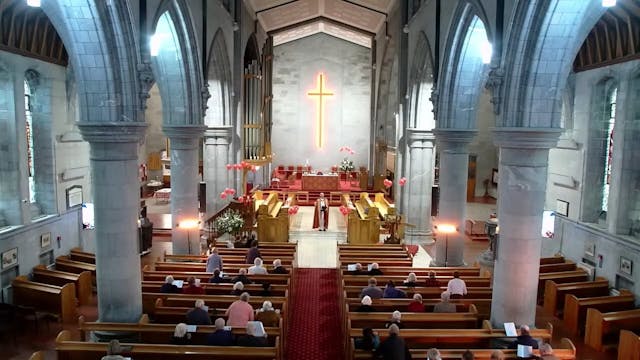 Nelson Cathedral - 26 May 2024