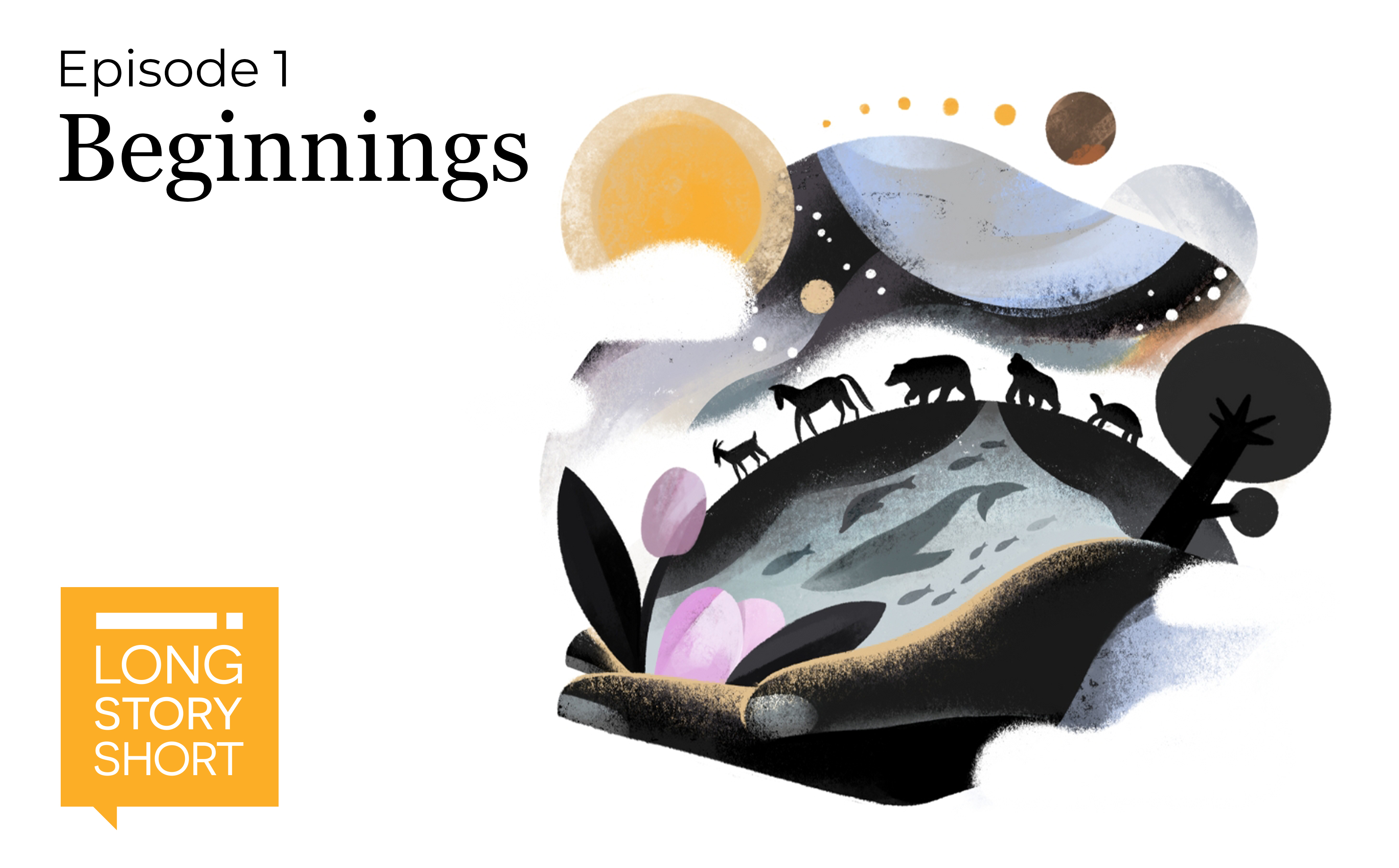 Beginnings - Where did everything come from?