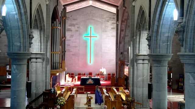 Nelson Cathedral - 20 November 2022