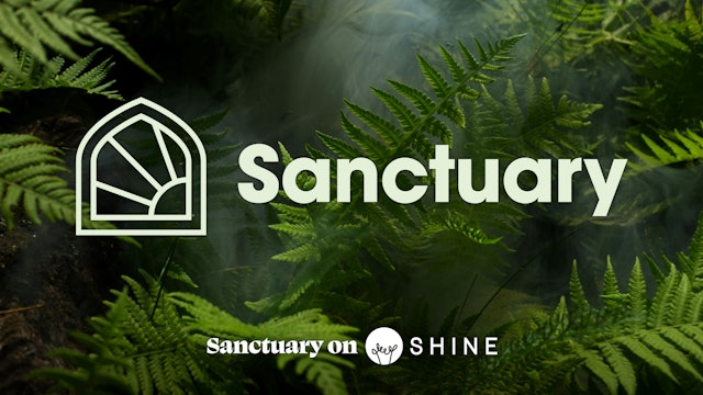 Sanctuary on Shine