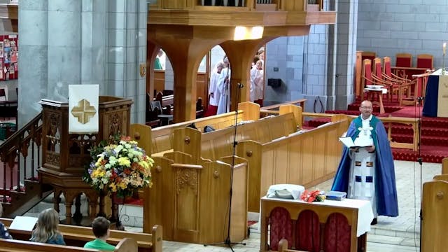 Nelson Cathedral - 27 November 2022
