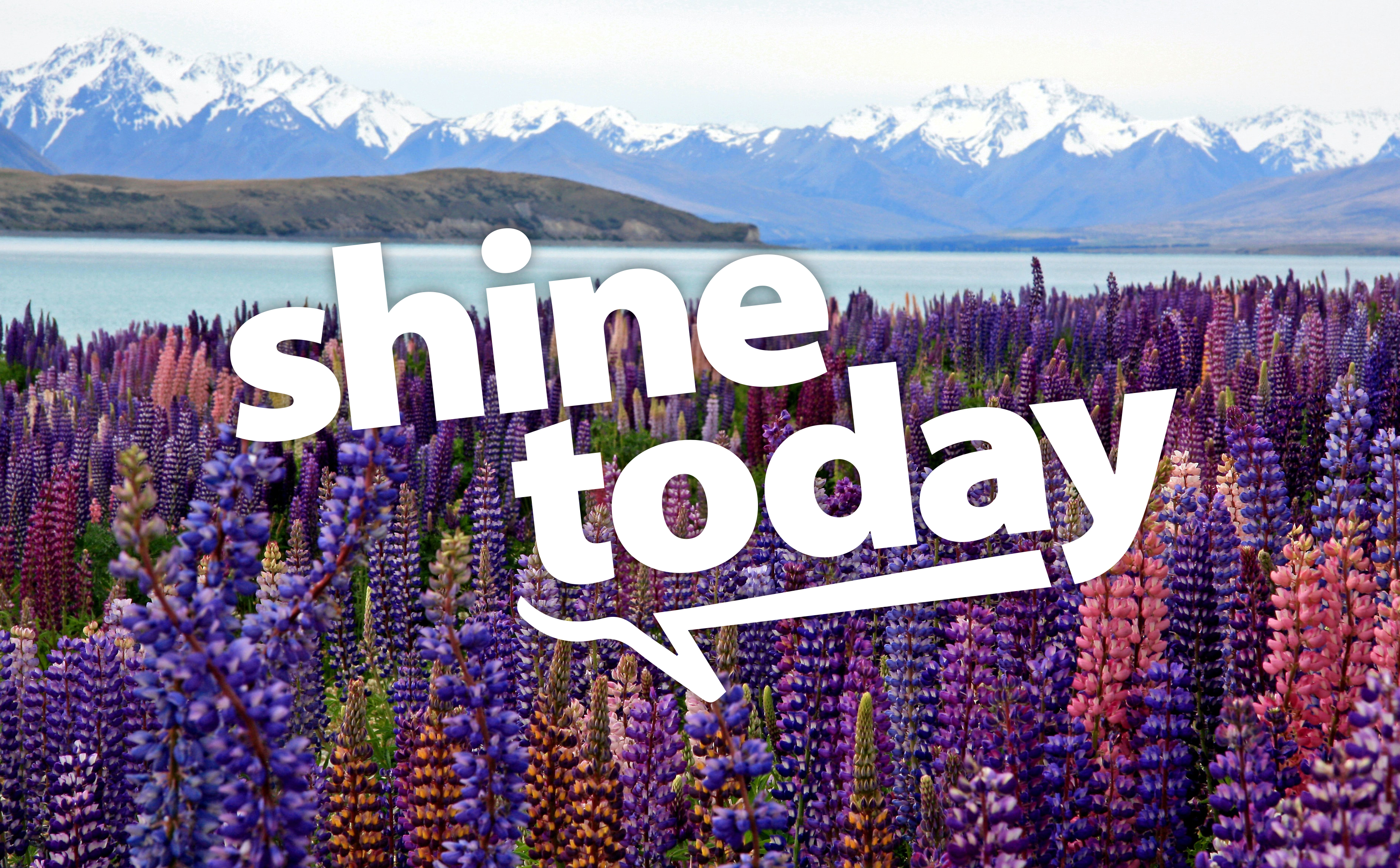 shine-today-shine-tv