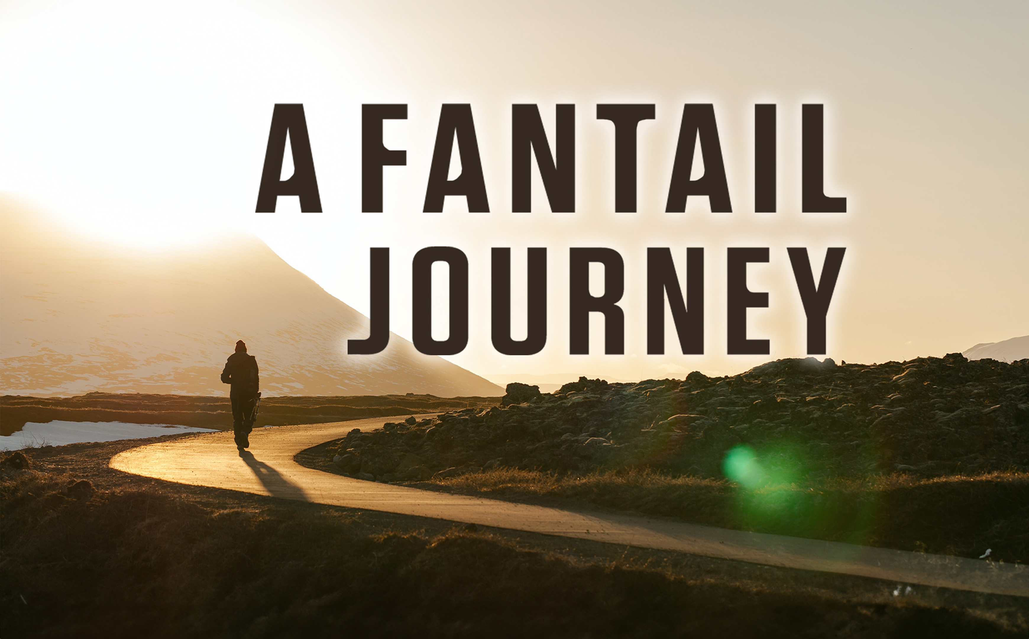 A Fantail Journey