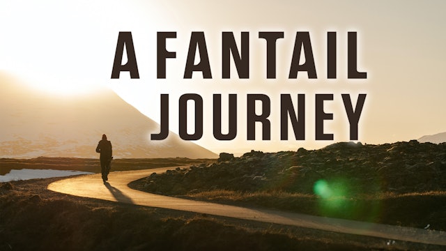 A Fantail Journey