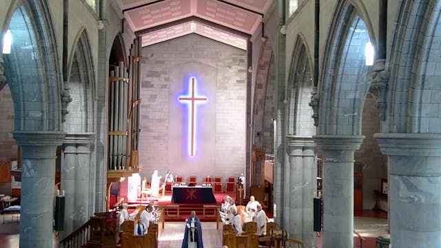 Nelson Cathedral - 3 March 2024