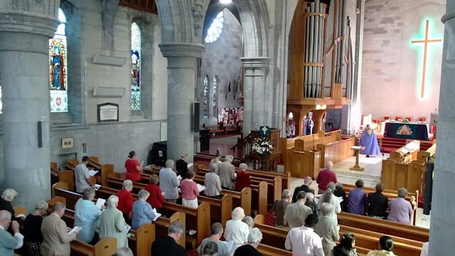 Nelson Cathedral - 11 February 2024