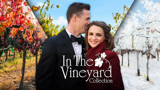 In the Vineyard Collection