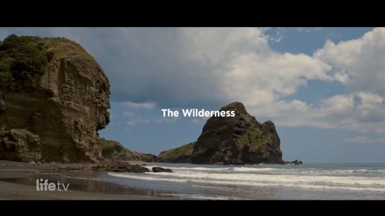 Life TV with Paul de Jong - The Wilderness