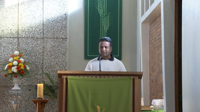 Sunday Mass - 30 June 2024