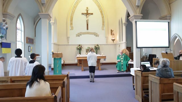 Sunday Mass - 9 July 2023