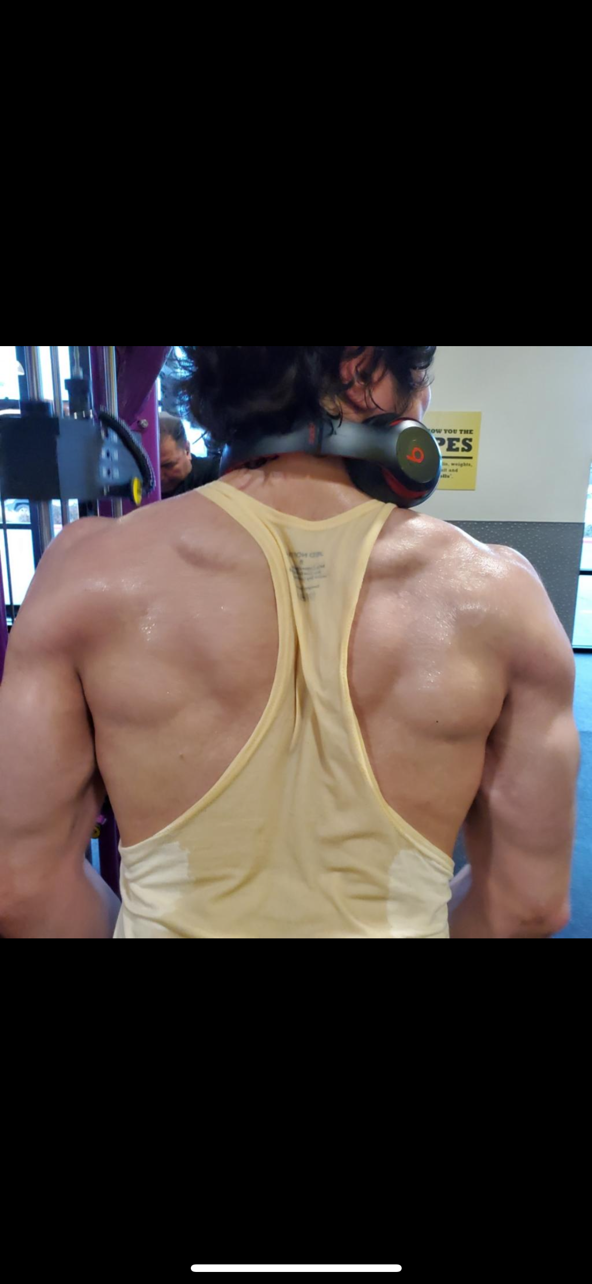 My Top 5 Back Exercises 
