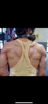 My Top 5 Back Exercises 