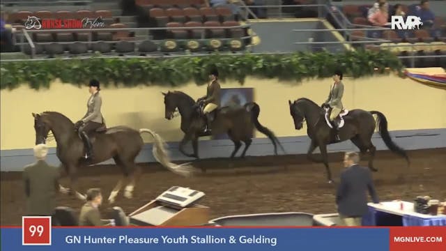 2015 MGN - Class 99A GN Hunter Pleasu...