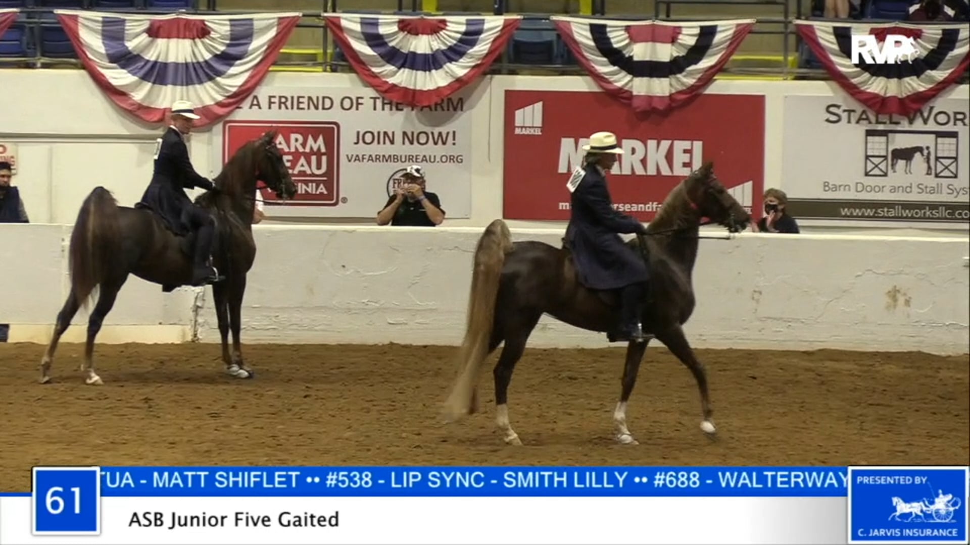 2020 BB - Class 61 ASB Junior Five Gaited