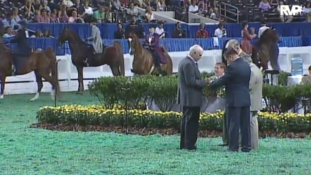 2010 World's Championship Horse Show ...