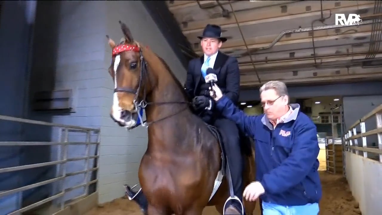 Pro-Am 2018 - Thursday Evening