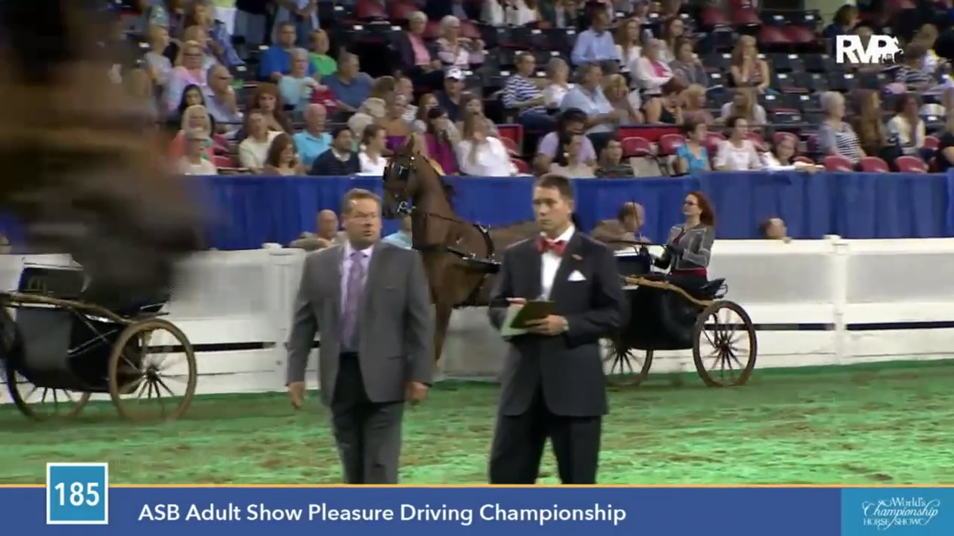 2015 WCHS - Class 185 ASB Adult Show Pleasure Driving Championship