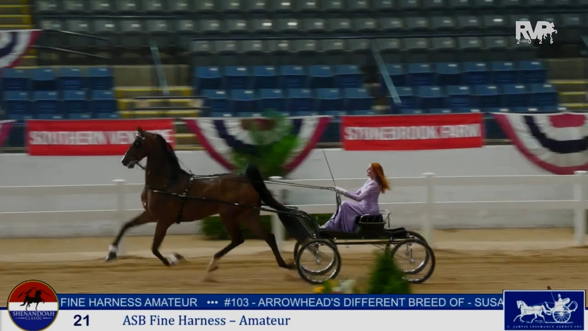 SC25 - Class 21 - ASB Fine Harness Amateur