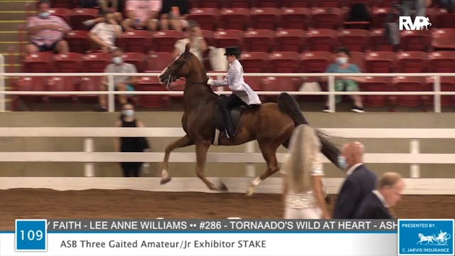 2020 ASF - Class 109 ASB Three Gaited...