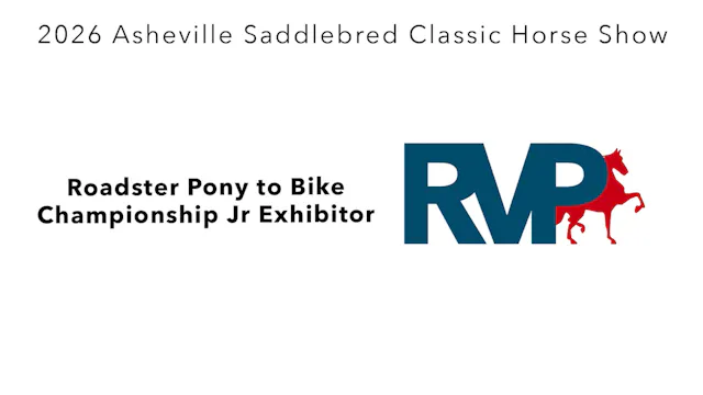 ASC26 - Class 131 - Roadster Pony to ...