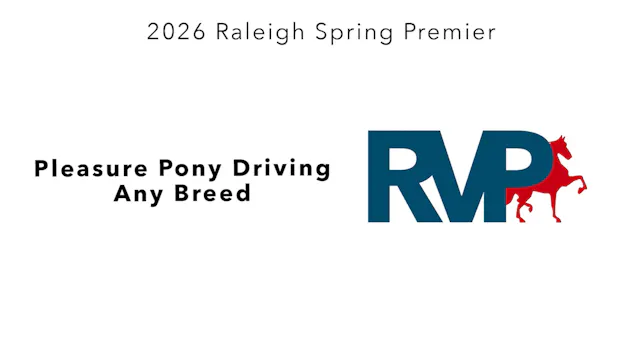 RSP26 - Class 50 - Pleasure Pony Driv...