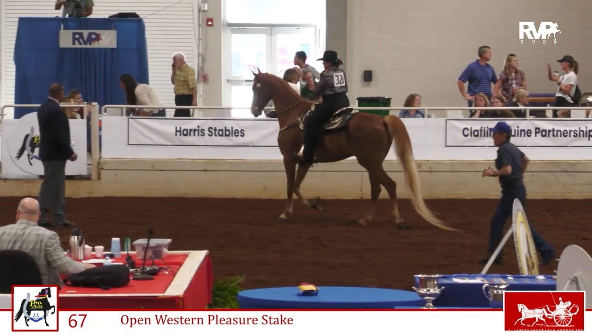 ProAm25 - Class 67 - Open Western Pleasure Stake