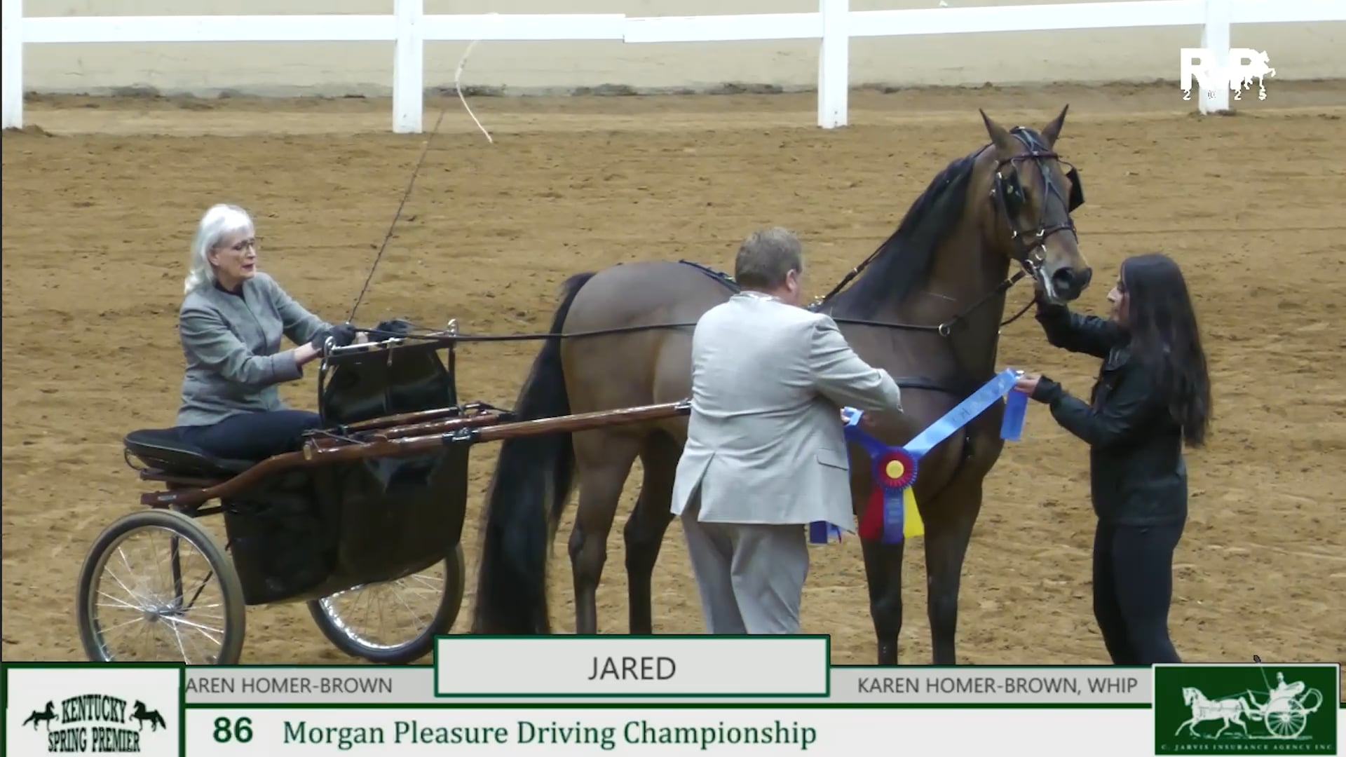 KYSP25 - Class 86 - Morgan Pleasure Driving Championship