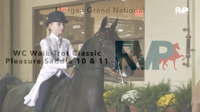 MGN24 - Class 148 - WC Walk-Trot Clas...