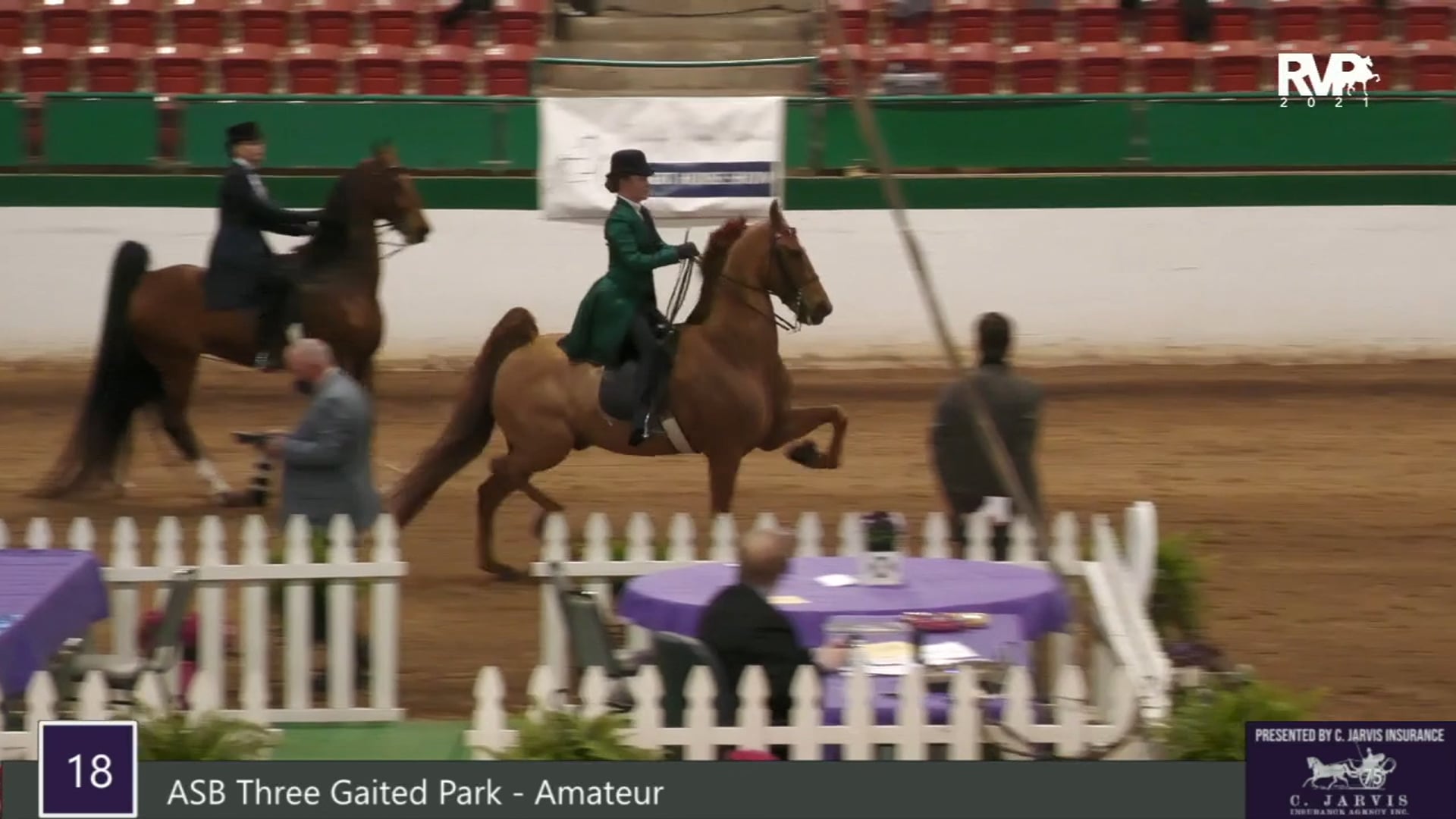 RSP21 - Class 18 - ASB Three Gaited Park Amateur