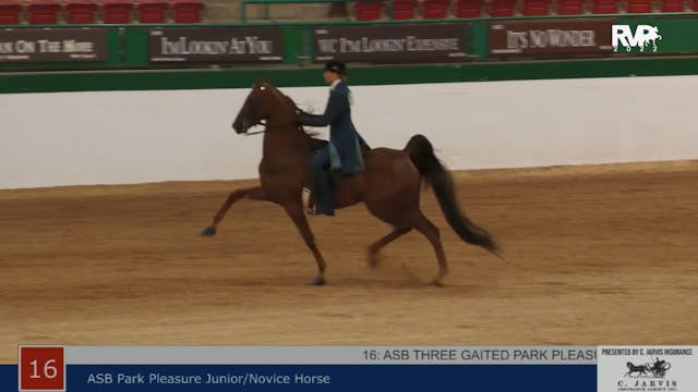 NCSC22 - Class 16 -  ASB Park Pleasur...