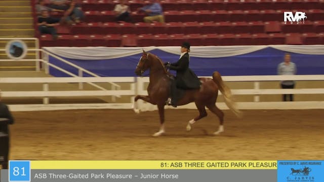 BR21 - Class 81 - ASB Three Gaited Pa...