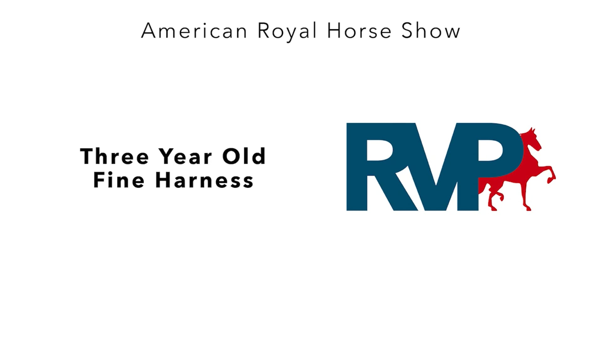 AR24 - Class 14 - Three Year Old Fine Harness