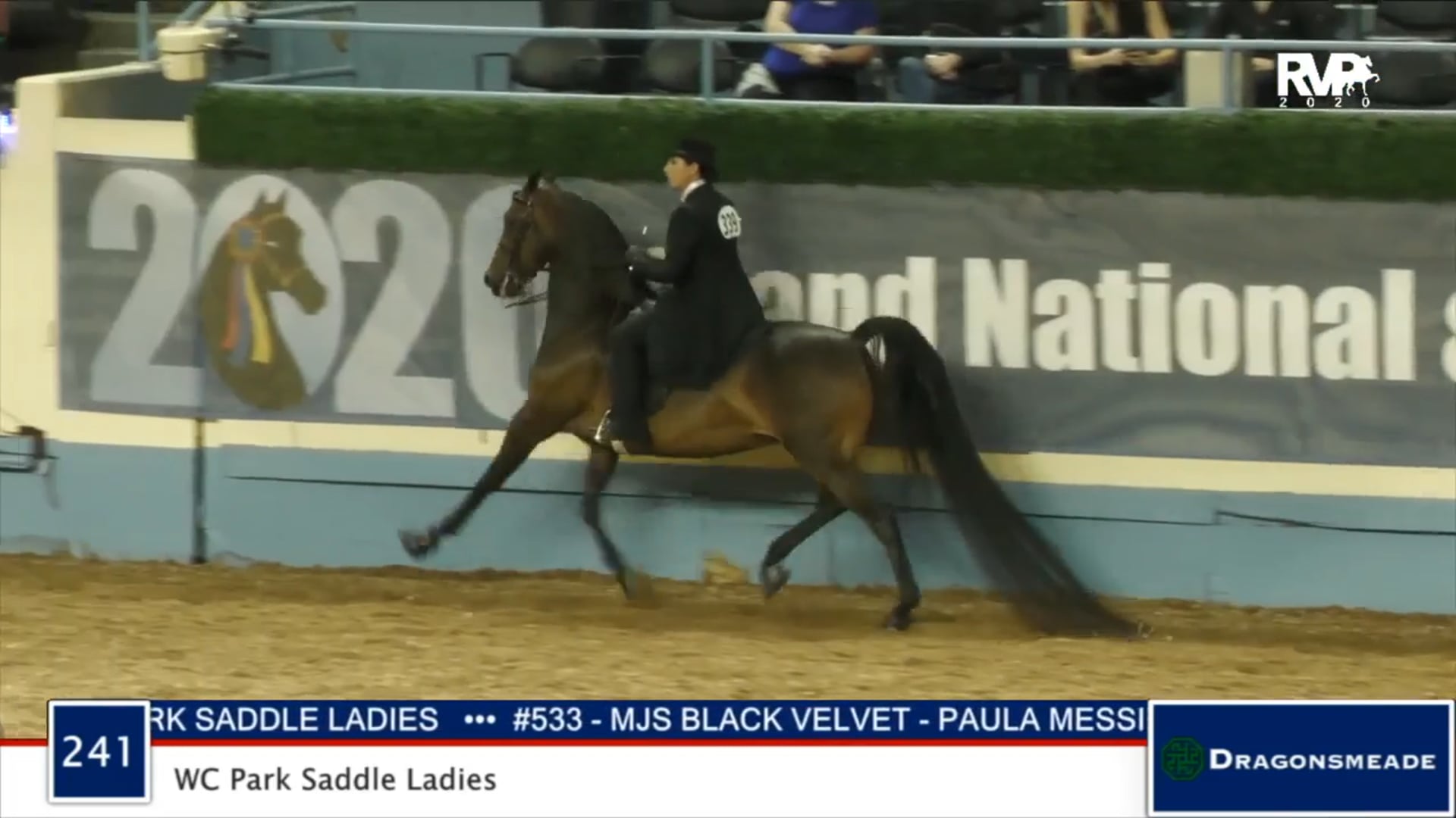 2020 MGN - Class 241 WC Park Saddle Ladies