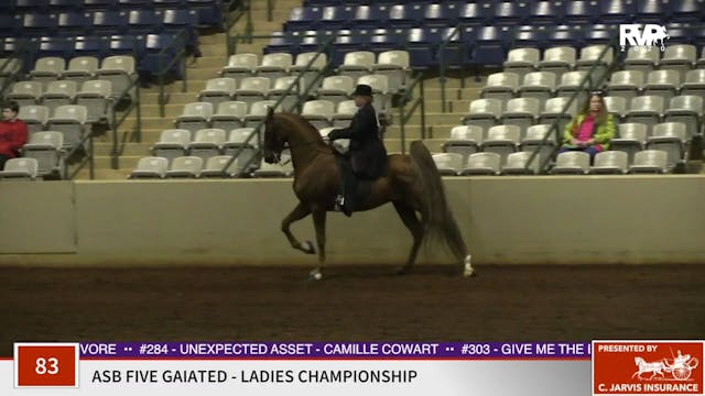 2020 SSFF - Class 83 ASB Five Gaited ...