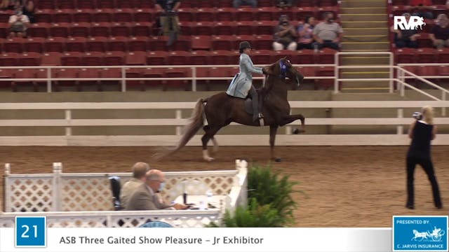 2020 ASF - Class 21 ASB Three Gaited ...