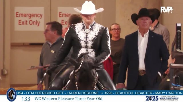 MGN25 - Class 133 - WC Western Pleasu...