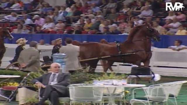 2004 World's Championship Horse Show ...