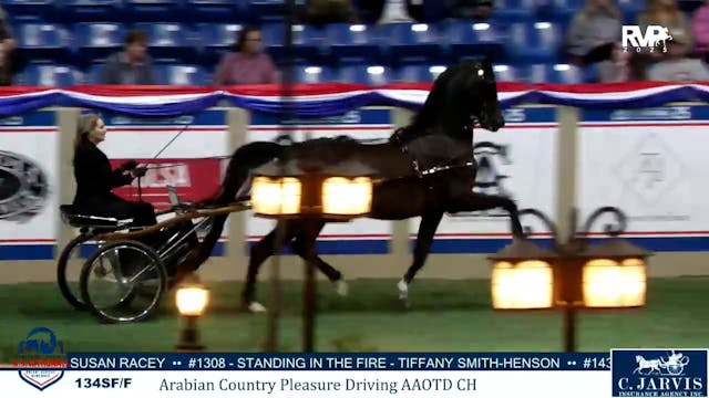 2025 Arabian Nationals - Tuesday Afte...