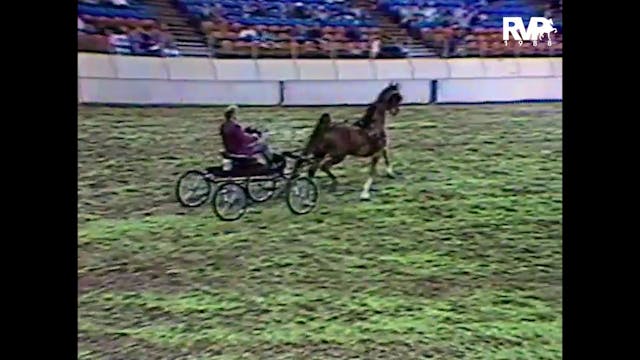 1988 AR - Class 68 Fine Harness Stall...