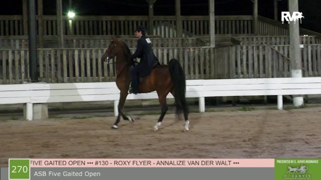 SB21 - Class 270 - ASB Five Gaited Ch...