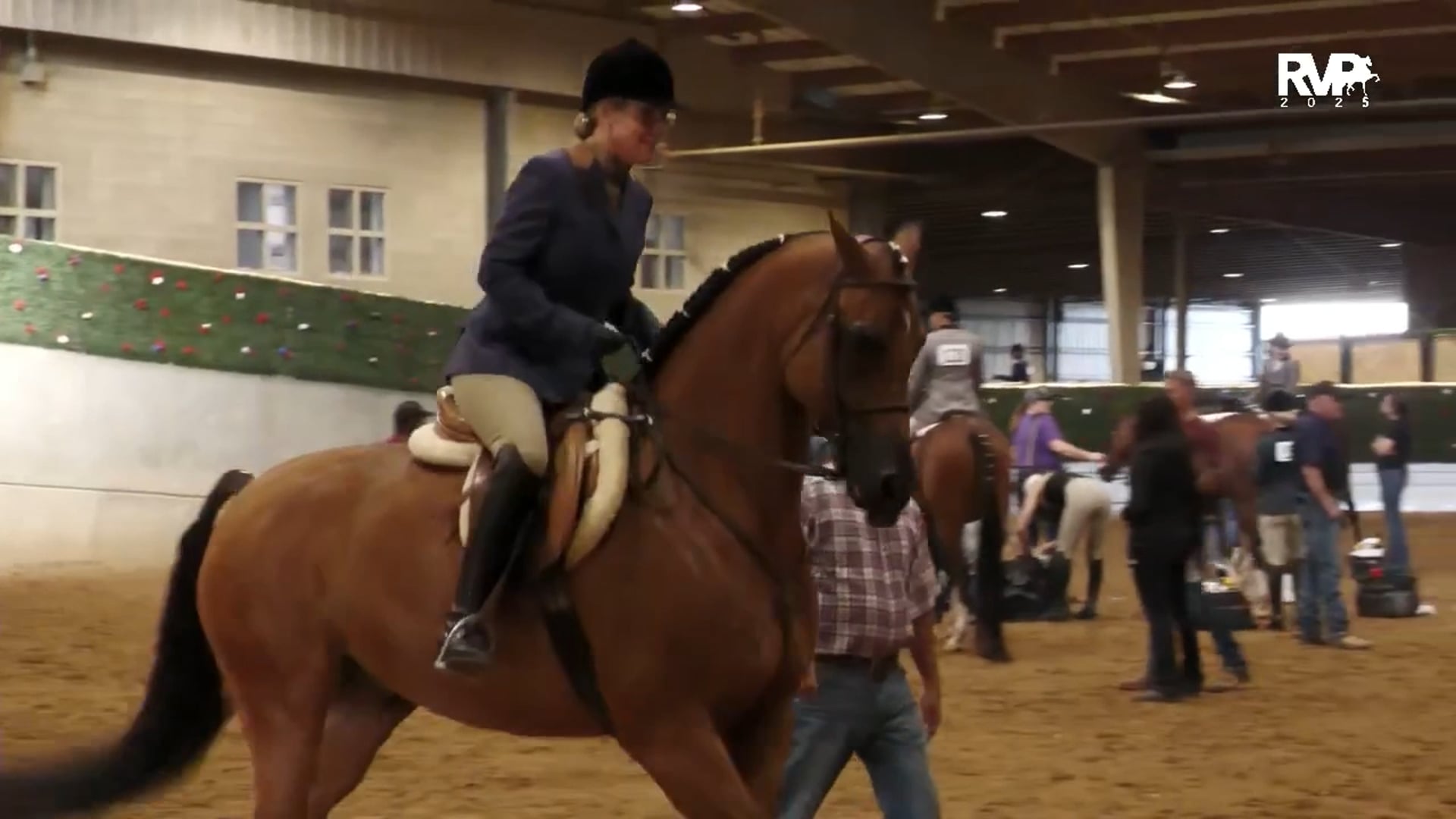 AN25 - Class 1169.3 - Arabian Hunter Pleasure AATR Select CH - Section III