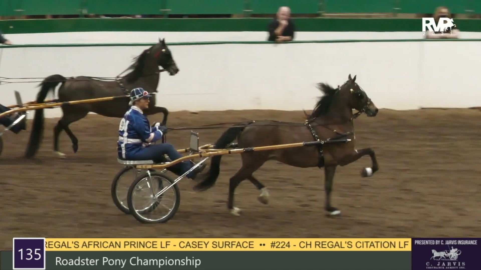 RSP21 - Class 135 - Roadster Pony Championship