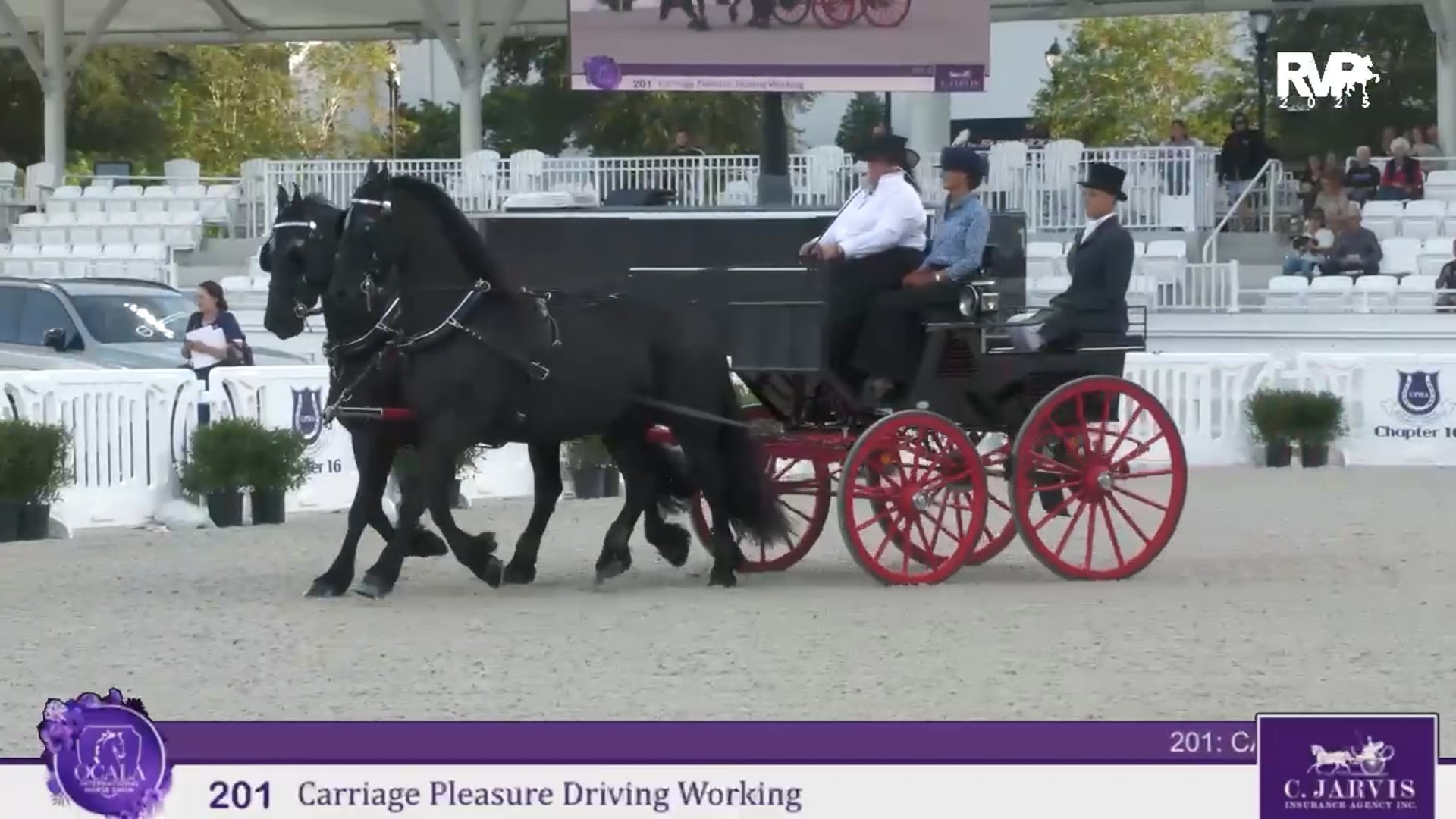 OI25 - Class 201 - Carriage Pleasure Driving Working