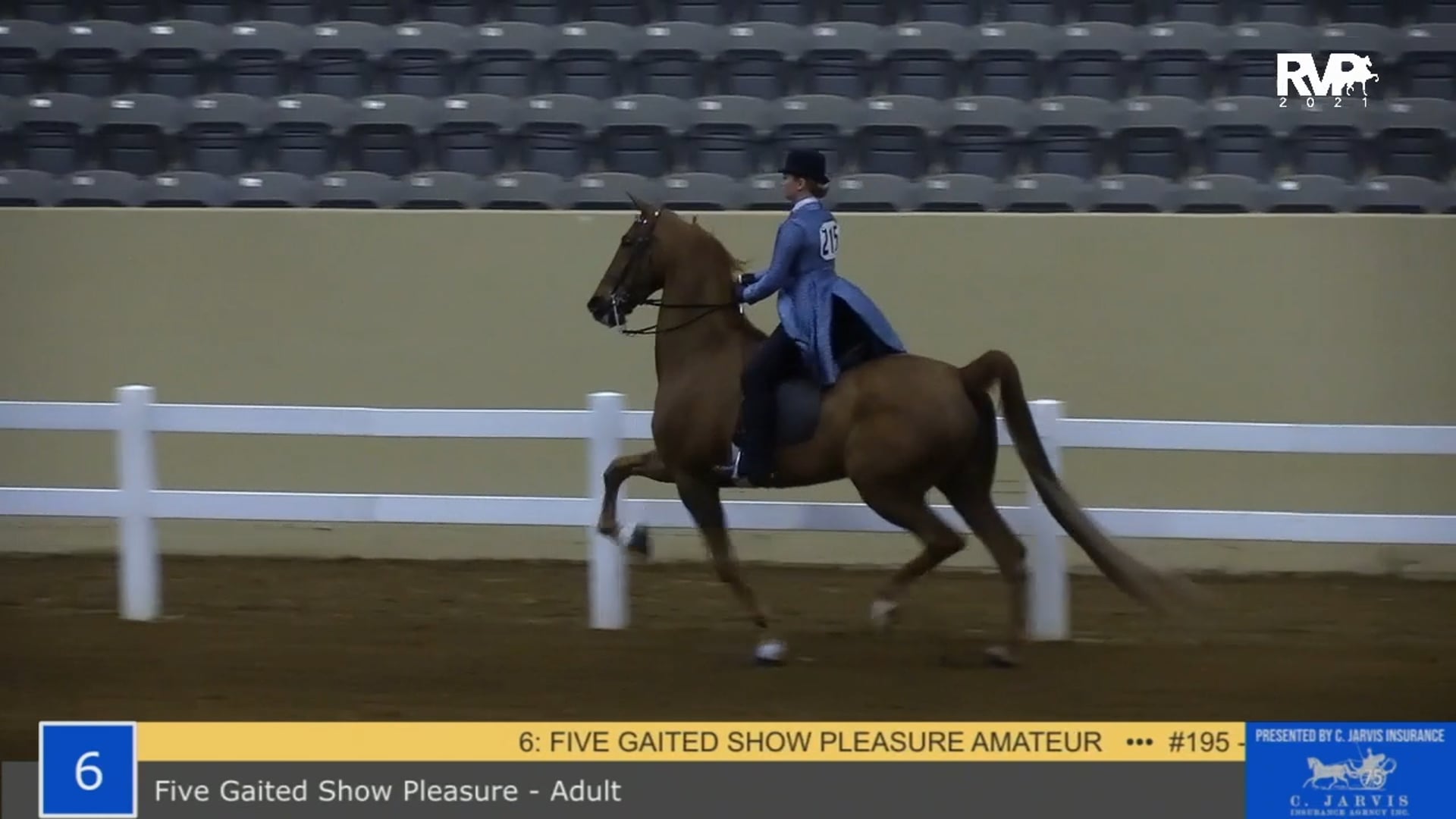 KYSP21 - Class 6 - Five Gaited Show Pleasure Amateur