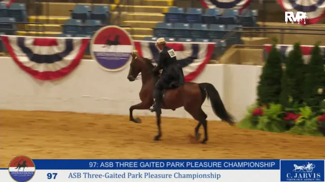 SC26 - Class 97 - ASB Three Gaited Pa...
