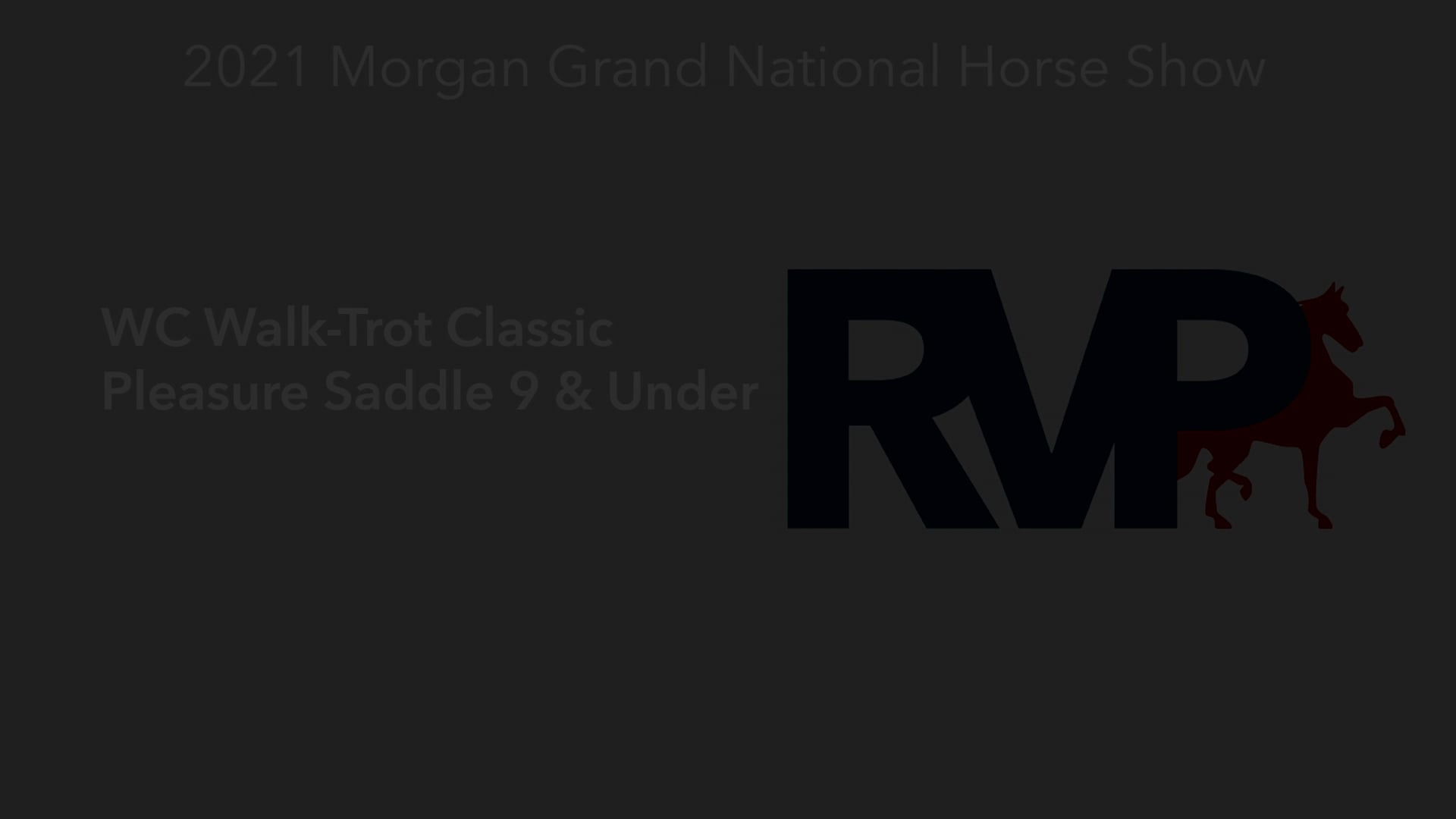 MGN21 - Class 179 - WC Walk-Trot Classic Pleasure Saddle 9 & Under 