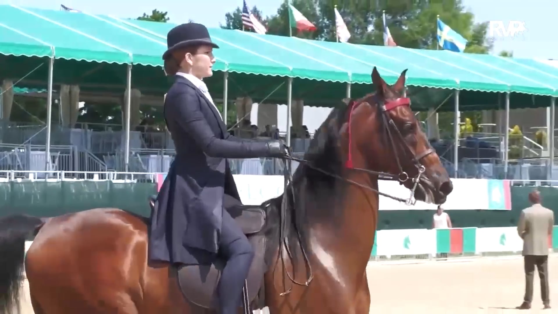 BRC25 - Class 79 - Roadster Horse To Bike Youth