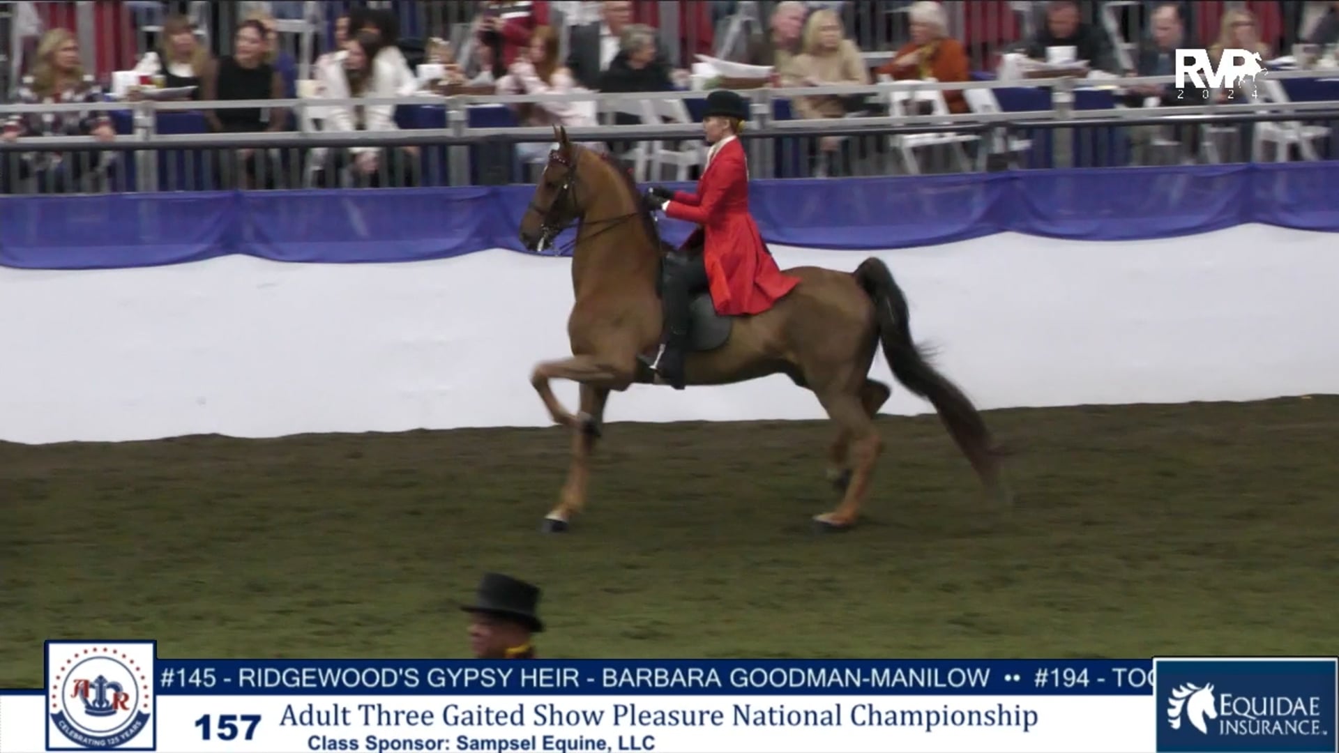 AR24 - Class 157 - Adult Three Gaited Show Pleasure National Championship