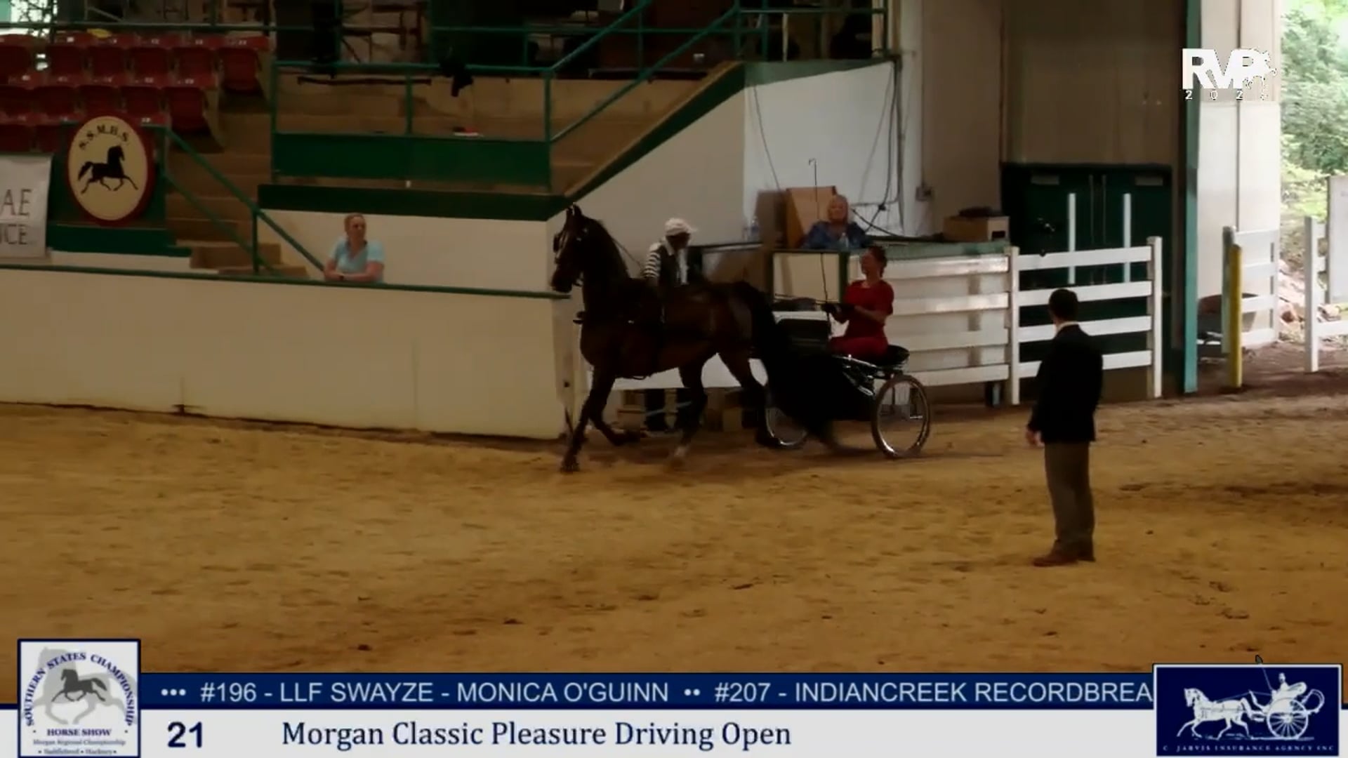 SS25 - Class 21 -  Morgan Classic Pleasure Driving Open