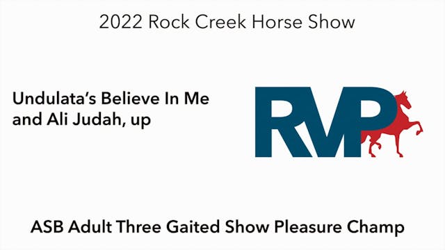RC22 - Class 88 -  Undulata’s Believe...